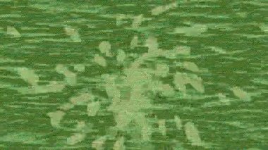 Yaratıcı video düzenleme film arkaplan tasarımı için minimalist organik hareket grafikleri