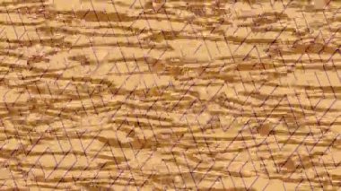 Lüks hareket tasarımı üst düzey video projeleri ve dijital sanat için zarif, pürüzsüz bir dokusu var.