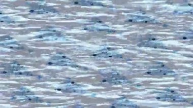 Benzersiz dijital hareket grafiklerine sahip yaratıcı sinematik projeler için yumuşak animasyon yüzeyi