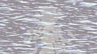 Benzersiz dijital animasyon tarzı grafikleri olan yaratıcı ortam tasarımı için yenilikçi hareket dokusu