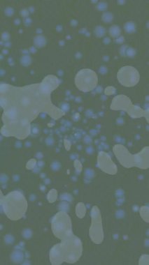 Benzersiz dijital hareket grafiklerine sahip yaratıcı sinematik projeler için yumuşak animasyon yüzeyi