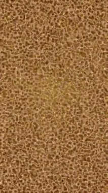 Profesyonel video projeleri sanat tarzı için organik hareketli arkaplan tasarımı