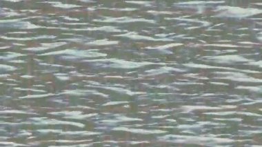 Estetik doku arkaplan tasarımı renkli hareket grafikleri ile moda film giriş profosyoneli