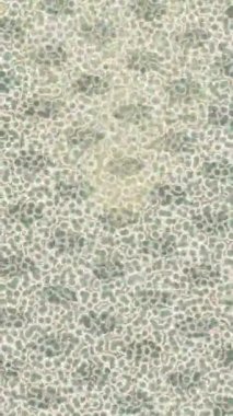 Benzersiz video giriş tasarımı projeleri için detaylı yüzey kalıbı film animasyon stili grafik girişi