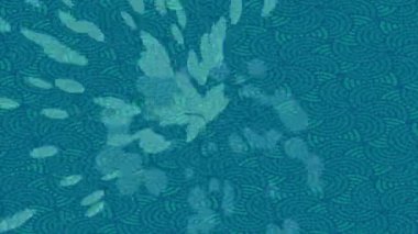 Benzersiz dijital hareket grafiklerine sahip yaratıcı sinematik projeler için yumuşak animasyon yüzeyi