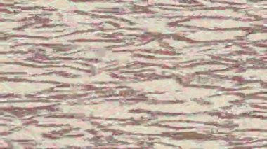 Lüks hareket tasarımı üst düzey video projeleri ve dijital sanat için zarif, pürüzsüz bir dokusu var.