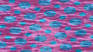 Yaratıcı video düzenleme film tasarımı için benzersiz hareket grafikleri biçimi giriş hareketi video pro