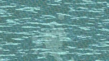 Soyut hareket desenli fütüristik video üretimi için dinamik dijital arkaplan