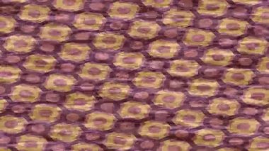 Yaratıcı video düzenleme film tasarımı için benzersiz hareket grafikleri biçimi giriş hareketi video pro