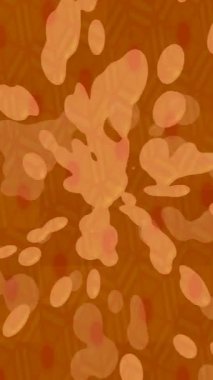 Yaratıcı video düzenleme film arkaplan tasarımı için minimalist organik hareket grafikleri