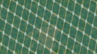 Benzersiz hareket dokusu tasarım sanatı ile profesyonel video düzenleme için modern soyut grafikler