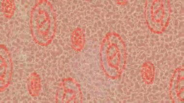 Organik desenli yüzey giriş stili video film sanatı ile soyut arkaplan tasarımı