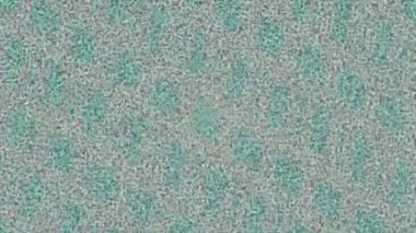 Dijital doku yüzey tasarım biçimi ile modern video animasyonu için gelişmiş hareket grafikleri