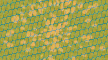 Soyut hareket desenli fütüristik video üretimi için dinamik dijital arkaplan