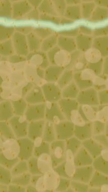 Benzersiz dijital hareket grafiklerine sahip yaratıcı sinematik projeler için yumuşak animasyon yüzeyi