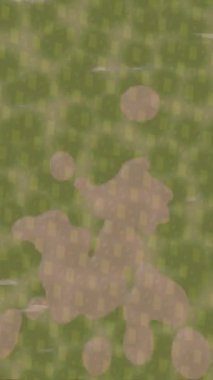 Profesyonel video projeleri sanat tarzı için organik hareketli arkaplan tasarımı