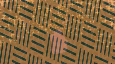 Soyut hareket desenli fütüristik video üretimi için dinamik dijital arkaplan