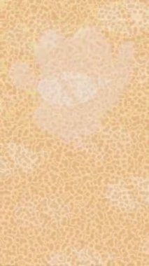 Benzersiz dijital animasyon tarzı grafikleri olan yaratıcı ortam tasarımı için yenilikçi hareket dokusu