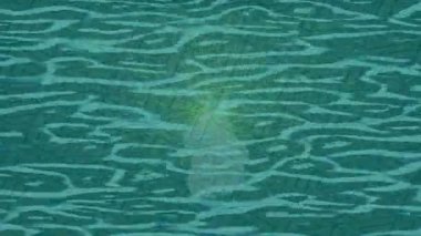 Organik desenli yüzey giriş stili video film sanatı ile soyut arkaplan tasarımı