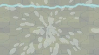 Lüks hareket tasarımı üst düzey video projeleri ve dijital sanat için zarif, pürüzsüz bir dokusu var.