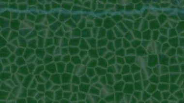 Yaratıcı video düzenleme film tasarımı için benzersiz hareket grafikleri biçimi giriş hareketi video pro