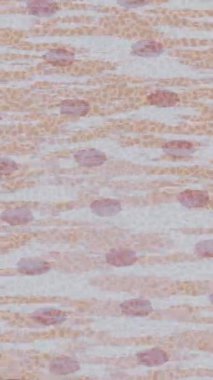 Lüks hareket projeleri için soyut tasarım stili animasyonu olan üst düzey dijital doku