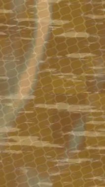 Benzersiz hareket dokusu tasarım sanatı ile profesyonel video düzenleme için modern soyut grafikler