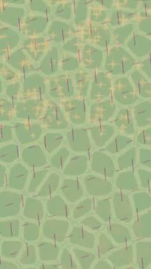 Yaratıcı video düzenleme film arkaplan tasarımı için minimalist organik hareket grafikleri