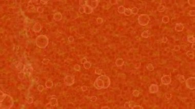 Benzersiz dijital animasyon tarzı grafikleri olan yaratıcı ortam tasarımı için yenilikçi hareket dokusu