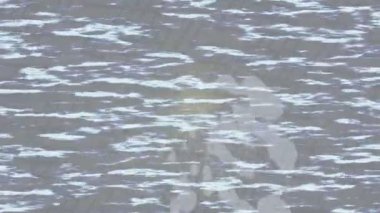 Lüks hareket tasarımı üst düzey video projeleri ve dijital sanat için zarif, pürüzsüz bir dokusu var.