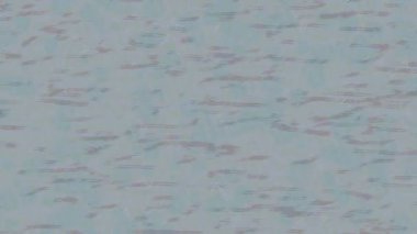 Benzersiz video giriş tasarımı projeleri için detaylı yüzey kalıbı film animasyon stili grafik girişi