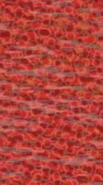 Lüks hareket tasarımı üst düzey video projeleri ve dijital sanat için zarif, pürüzsüz bir dokusu var.