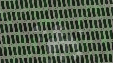 Soyut hareket desenli fütüristik video üretimi için dinamik dijital arkaplan