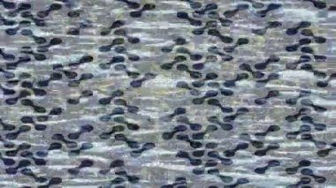 Benzersiz video giriş tasarımı projeleri için detaylı yüzey kalıbı film animasyon stili grafik girişi