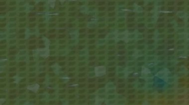 Benzersiz dijital animasyon tarzı grafikleri olan yaratıcı ortam tasarımı için yenilikçi hareket dokusu