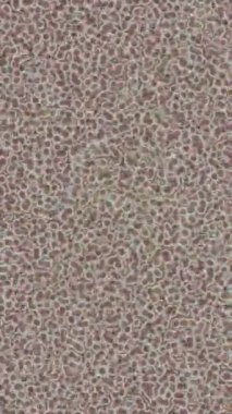 Benzersiz video giriş tasarımı projeleri için detaylı yüzey kalıbı film animasyon stili grafik girişi