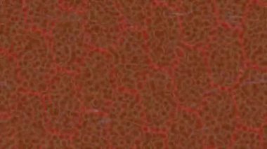 Benzersiz dijital animasyon tarzı grafikleri olan yaratıcı ortam tasarımı için yenilikçi hareket dokusu