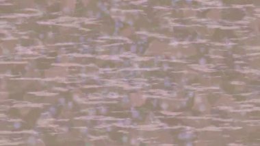 Profesyonel video projeleri sanat tarzı için organik hareketli arkaplan tasarımı