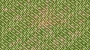 Estetik doku arkaplan tasarımı renkli hareket grafikleri ile moda film giriş profosyoneli