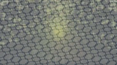 Lüks hareket tasarımı üst düzey video projeleri ve dijital sanat için zarif, pürüzsüz bir dokusu var.