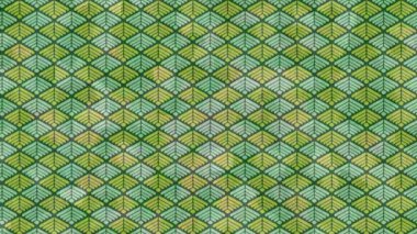 Estetik doku arkaplan tasarımı renkli hareket grafikleri ile moda film giriş profosyoneli