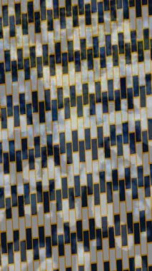 Organik desenli yüzey giriş stili video film sanatı ile soyut arkaplan tasarımı