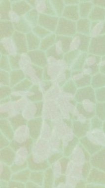 Estetik doku arkaplan tasarımı renkli hareket grafikleri ile moda film giriş profosyoneli