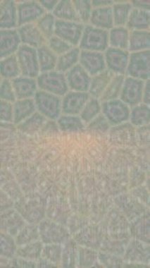 Profesyonel video projeleri sanat tarzı için organik hareketli arkaplan tasarımı