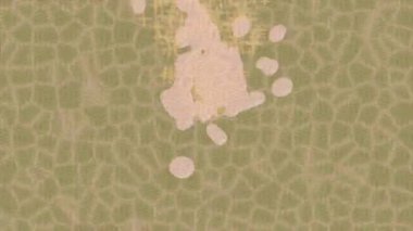 Benzersiz video giriş tasarımı projeleri için detaylı yüzey kalıbı film animasyon stili grafik girişi