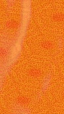 Yaratıcı video düzenleme film tasarımı için benzersiz hareket grafikleri biçimi giriş hareketi video pro