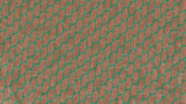 Benzersiz dijital animasyon tarzı grafikleri olan yaratıcı ortam tasarımı için yenilikçi hareket dokusu