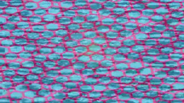 Organik desenli yüzey giriş stili video film sanatı ile soyut arkaplan tasarımı