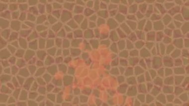 Yaratıcı video düzenleme film arkaplan tasarımı için minimalist organik hareket grafikleri