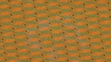 Profesyonel video projeleri sanat tarzı için organik hareketli arkaplan tasarımı